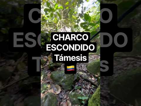 CHARCO ESCONDIDO, Támesis, Antioquia 🇨🇴 Colombia - Octubre 2025