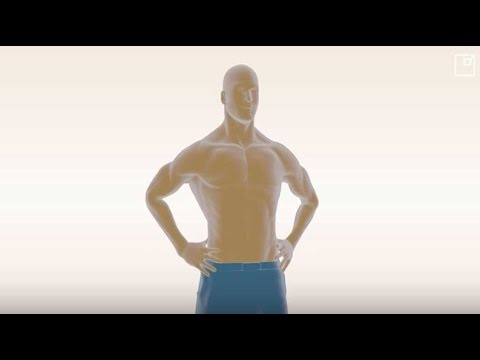 Phallosan Forte Review - The Best Penis Extender Device (Results And Size Gains)