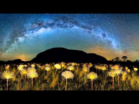 Disclosure (ft. AlunaGeorge) - White Noise (MK Remix)