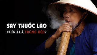 Uống Canxi Gây Sỏi Thận? Sự Thật Khiến Bạn Giật Mình!