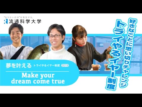 好きなことに思い切りチャレンジ「トライやるイヤー制度」