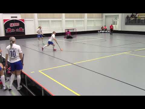 Järjestäytynyt hyökkäys