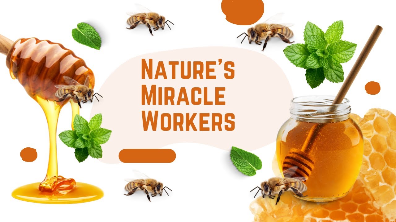 Featured Educational Video 1