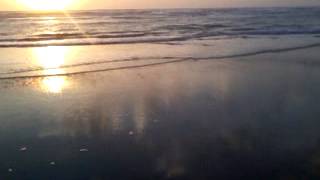 preview picture of video 'Lindo As tartarugas praia do mosqueiro Sergipe'