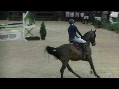 El Barone 111 Z HC Azelhof 5 jarigen