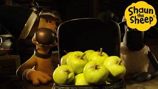 Download lagu Shaun the Sheep 🐑 What's in the case..APPLE - Cartoons for Kids 🐑 Full Episodes Compilation [1 hour] mp3