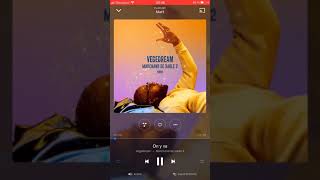 Vegedream ON Y VA ( EXCLU) 2018 MARCHAND SABLE 2