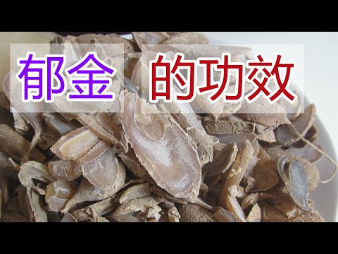 鬱金禁忌