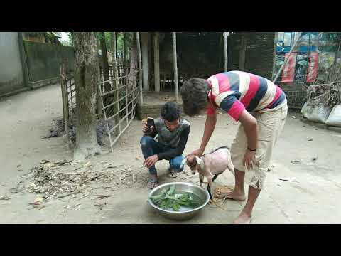 download lagu mp3 mp4 Mustvideos Com, download lagu Mustvideos Com gratis, unduh video klip Download Mustvideos Com Mp3 dan Mp4 Popular Gratis