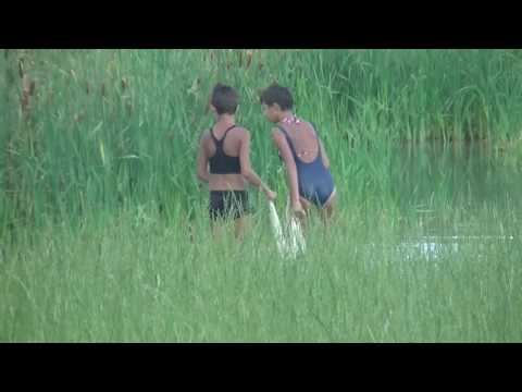 A Víz-őselemmel való harmóniába-kerülés A Víz-őselemmel való harmóniába-kerülés