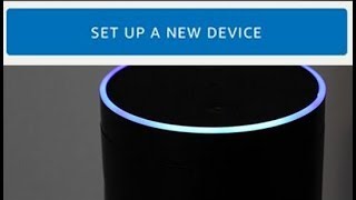 How to Set Up and Configure Your Amazon Echo