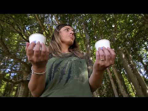 Sila Epic 2024, online il teaser