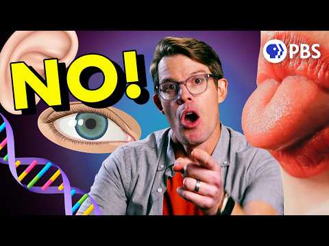 (Nesten) alt du har lært om genetikk er feil