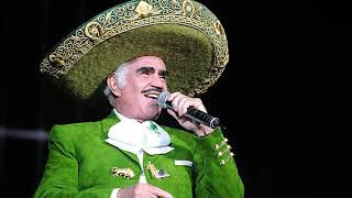 Vicente Fernández - El derrotado