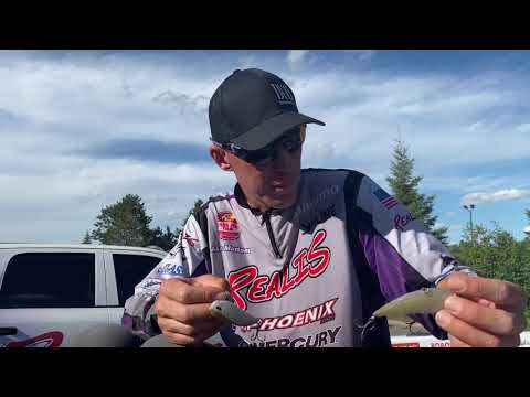 Aaron Martens NEW Favorite Lipless Crankbait - The APEX Vibration Bait from DUO