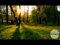 Imagine Dragons - On Top of The World (RAC Remix)