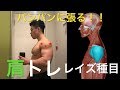 【肩トレ】これはパンパンに張るぞ!!レイズ種目紹介+α