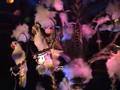 Disneyland Enchanted Tiki Room - Original Show