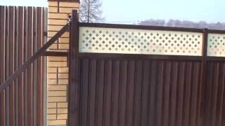 Агротехника для выращивания капусты 301