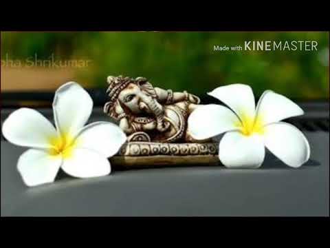 Lavanya 4th years birthday party