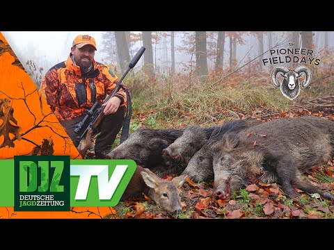 Successful driven hunt at the SH Pioneer Fielddays