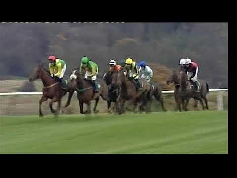 2009 Sharp Novice Hurdle - Open meeting