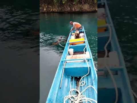 pencari lobster air laut di kampung rumbati, fakfak, papua barat