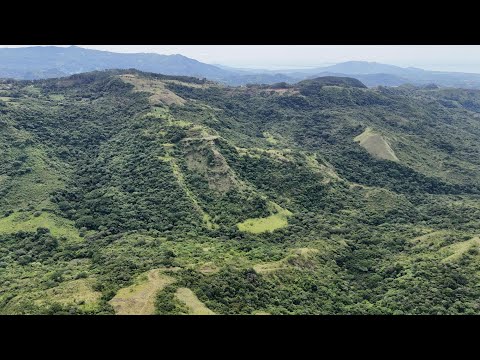 EL Jobo Dulce, Faldas Del Cerro Picacho | La Laguna, Panama - The Agency