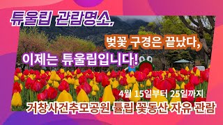 [영상기자단] 거창사건추모공원 튤립 꽃동산 자유 관람_조현광