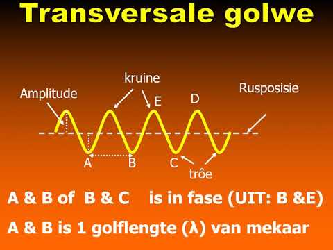 Transversale golwe: Graad 10 Fisika