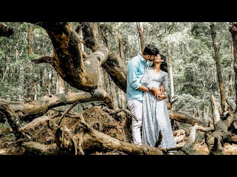 Sarani & Nipun Wedding Surprise Dance