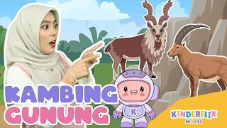 Download lagu Kambing Gunung - Lagu Anak dan Balita Indonesia | Original Song - Kinderflix Music mp3