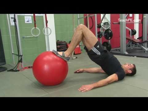 Free weight exercises - Fit Ball Curl - Both Legs