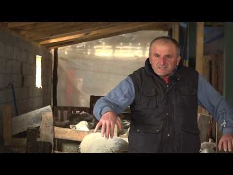 Naša priča ep.195 17.05.2019 - Ovčarstvo - Tmava, Kuršumlija
