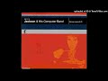 Jackson And His Computer Band - A Thing Called...
