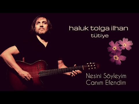 Haluk Tolga İlhan - Nesini Söyleyim Canım Efendim