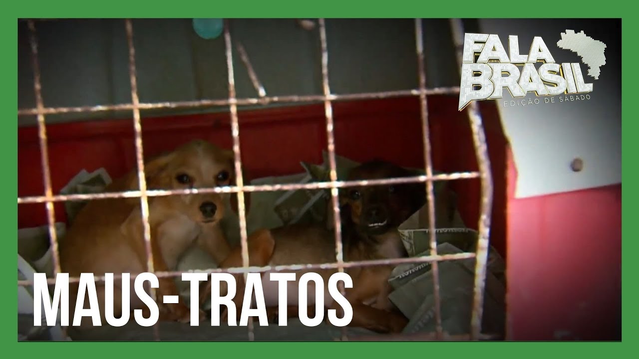 Julinho Casares acompanha operação de resgate a animais vítimas de maus-tratos