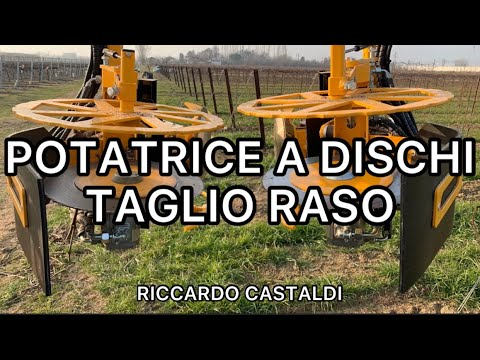 Vite. Potatrice a dischi - taglio raso