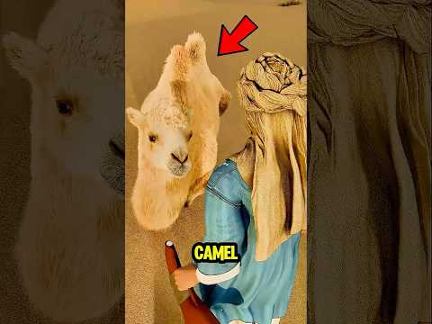 What's Actually Inside a Camel's Hump 🐪😱