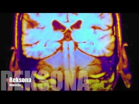 Reksona - Amnezija (verse)
