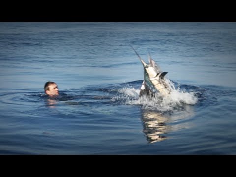 BIG Sailfish Caught on a HAND LINE- Chasing Monsters