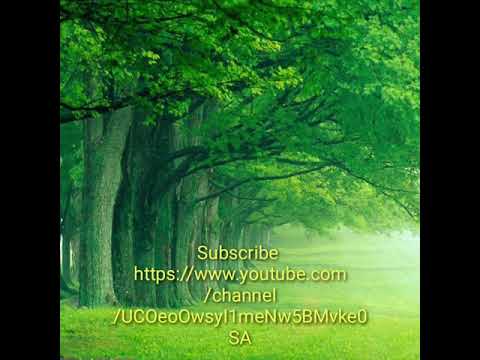 Jesus lei my na terreine