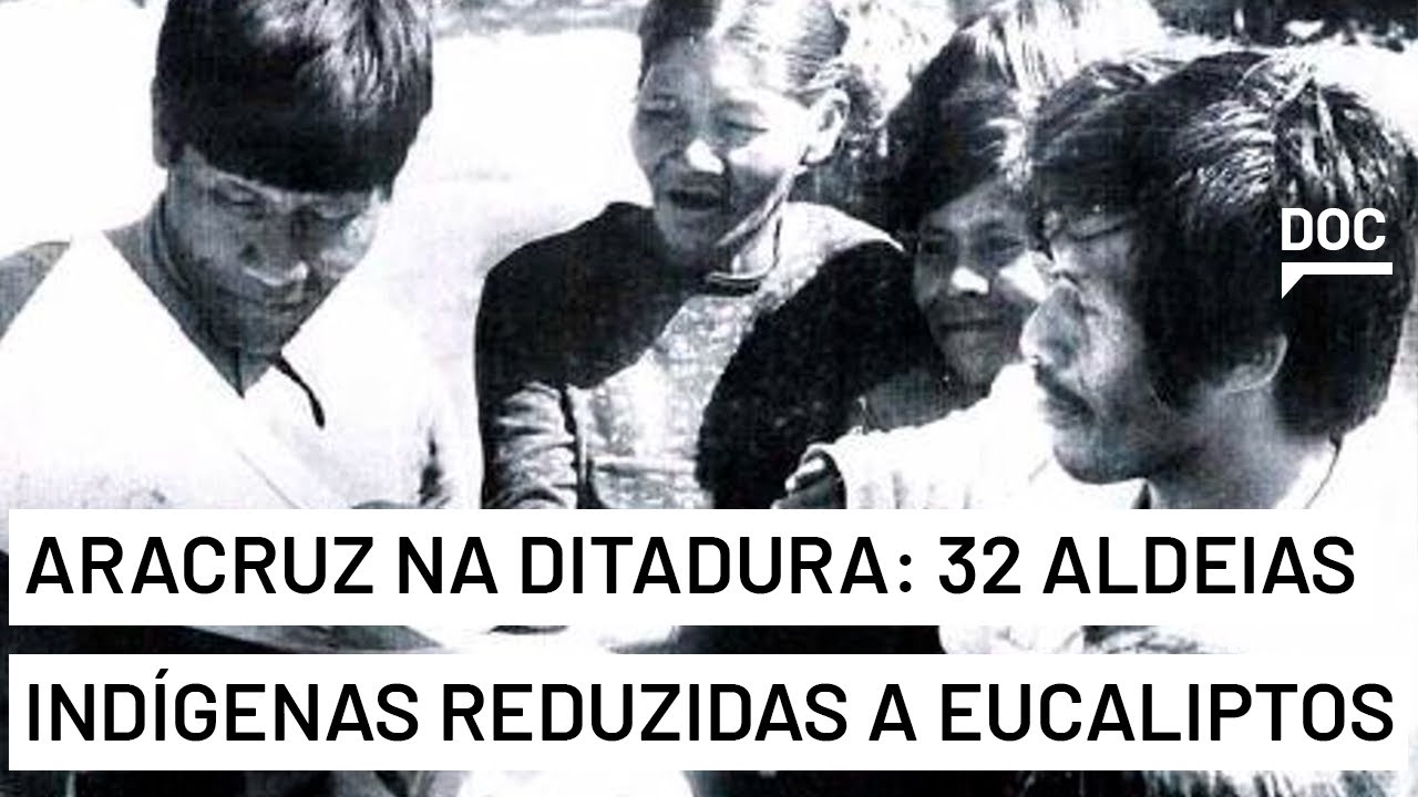 Aracruz, do maior produtor de celulose de eucalipto, violou direitos na ditadura, diz pesquisadora