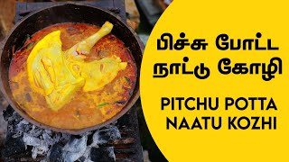 Download lagu 10 mins Cooking - Pichu Potta Naattu Kozhi | Chicken Recipes | Mr Chef | பிச்சு போட்ட நாட்டு கோழி mp3 Download lagu 10 mins Cooking - Pichu Potta Naattu Kozhi | Chicken Recipes | Mr Chef | பிச்சு போட்ட நாட்டு கோழி mp3