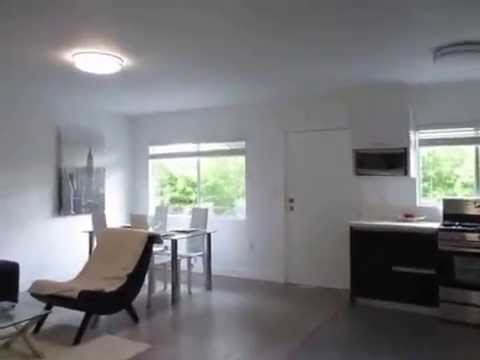 PL5068 - ALL NEW Modern 1 Bed + 1 Bath Apartment for Rent (Hollywood Hills, CA)
