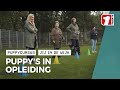 Zit! Af! Een kijkje bij puppycurcus van Dogplaza