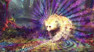 Spirit Bear with "Arise" by Yaima