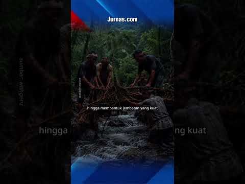 Bukan Manusia, Ternyata Jembatan Meghalaya Terbentuk dari Akar Hidup