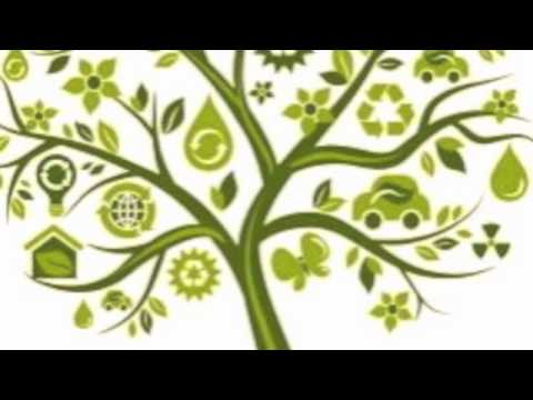 Embrace Yourself Official Video