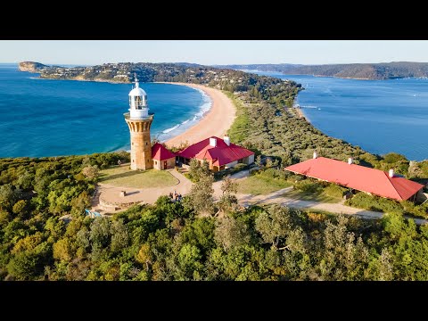 Cohen Handler | Using a Buyers Agent in Sydney's Northern Beaches